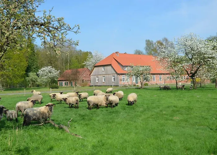 Apartment Heidjerleev